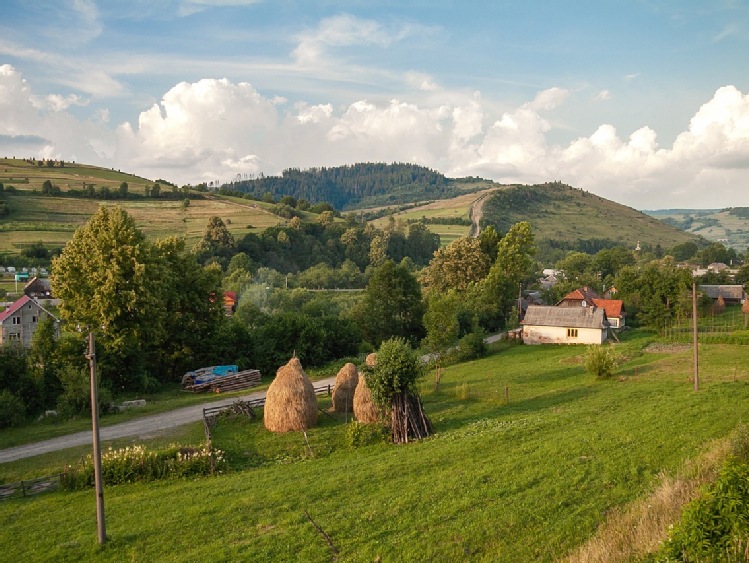 FAO kupuje nasiona jęczmienia ozimego i pszenicy dla Ukrainy